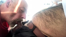 Dad sucking hairy cub