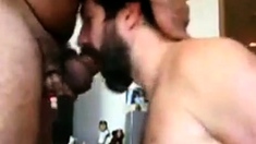 Beary Daddy Sucks Amateur Dick