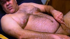 Beary Daddy Paul Strokes and Shoots