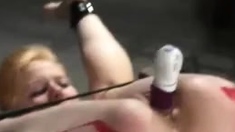 Toy Wax Spank And Shock