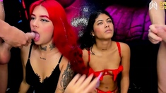 Hot Group Sex With Wild Trannies